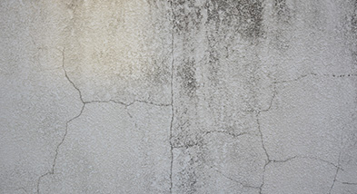 色あせてきた時